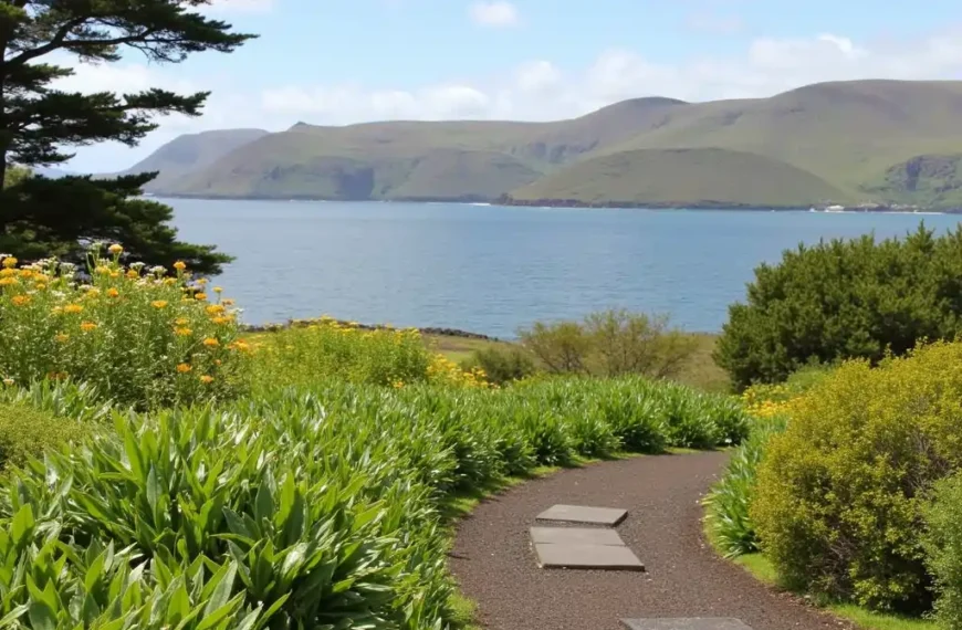 The Azores renewable energy and wildlife experiences